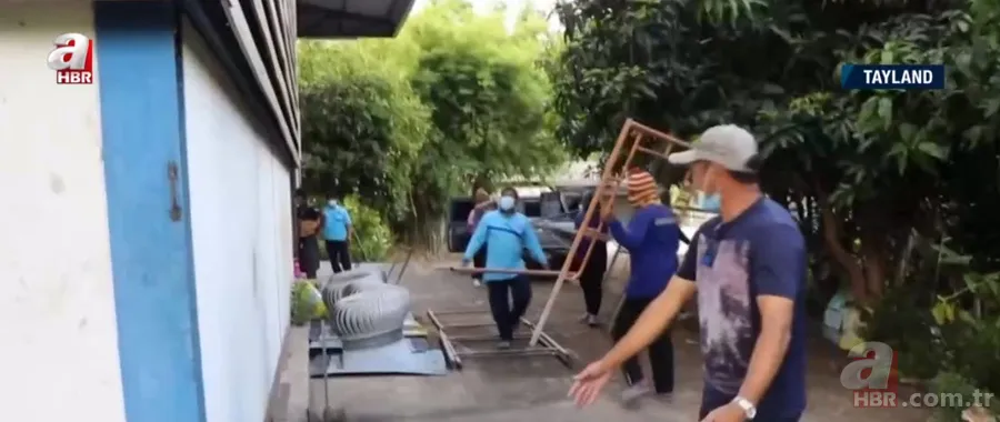 Fabrikada dev piton paniği! Yılan avcısı genç kadın... 1