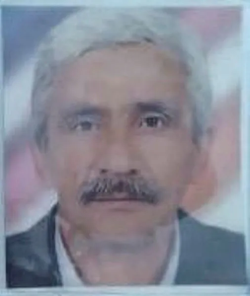 Bursa'da acı olay! Kestiği ağacın altında kalan yaşlı adam öldü - 1