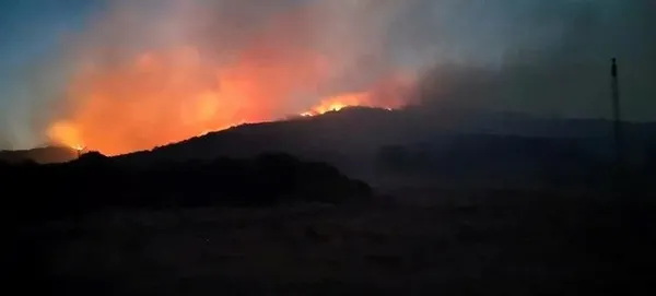 pkknin-kirli-plani-ortaya-cikti-sucu-devlete-atacaklardi-1702290330705.jpeg PKK’nın kirli planı ortaya çıktı! Suçu devlete atacaklardı - 2