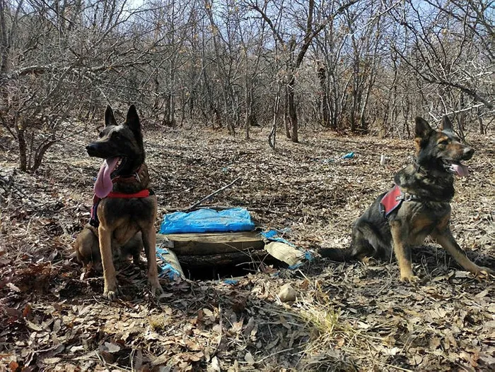 Tunceli’de terör örgütü PKK’nın kullandığı sığınak kullanılamaz hale getirildi
