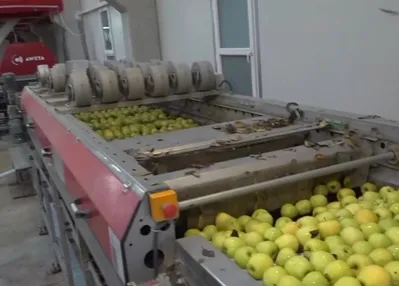 10 ülkeye ihraç ediliyor