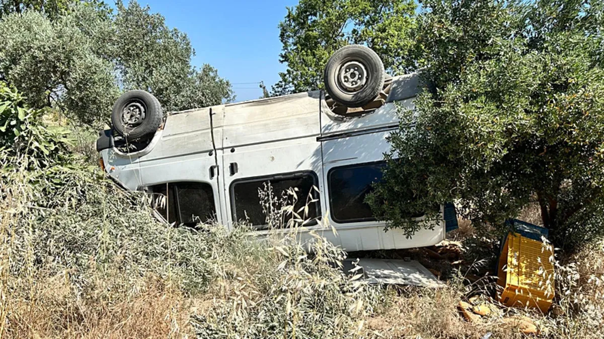 Ekmek yüklü ticari araç zeytinliğe uçtu: 1 kişi hayatını kaybetti