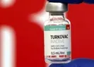 TURKOVAC müjdesi! Bakan Koca duyurdu