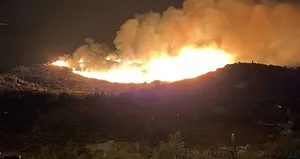 Aydın’da orman yangını