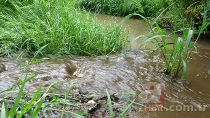 İSKİ duruma müdahale etmedi: Su yerine zehir akıyor!