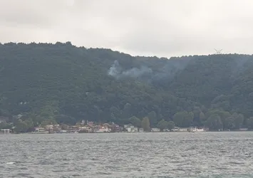Son dakika: Beykoz'da orman yangını
