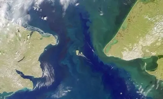 Sınır kafenin ortasından geçiyor! Görenleri hayrete düşüren dünyanın en ilgin ülke sınırları - 7