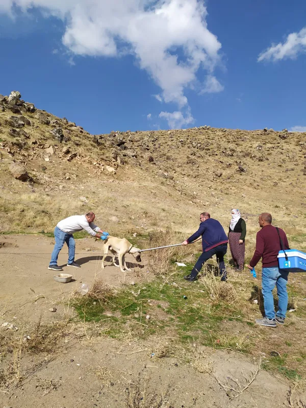 bitliste-kuduz-panigi-il-saglik-mudurlugunden-flas-aciklama-1667396789335.jpg Bitlis'te kuduz paniği! İl Sağlık Müdürlüğünden flaş açıklama - 2