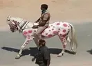 Tüm dünya izledi! İlginç korona uyarısı