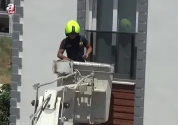 Aydın'da itfaiyeden kuş operasyonu