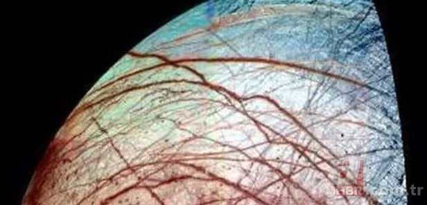 Mars'ta 'Ayı' keşfedildi! NASA o görüntüleri paylaştı 17