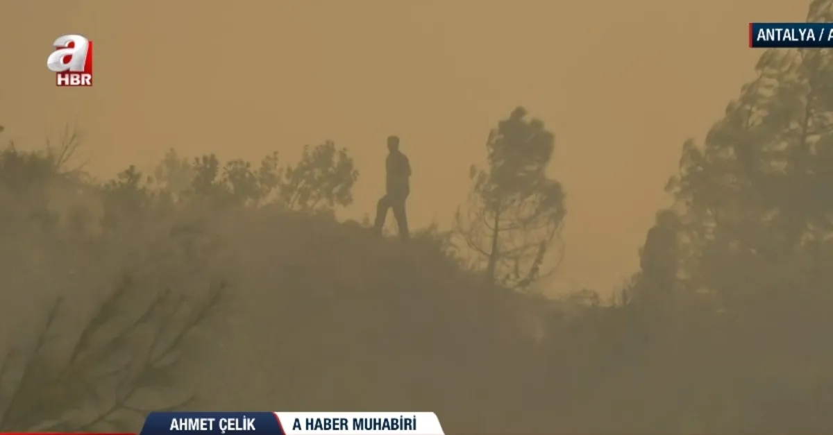 Alanya’da orman yangını! A Haber bölgede