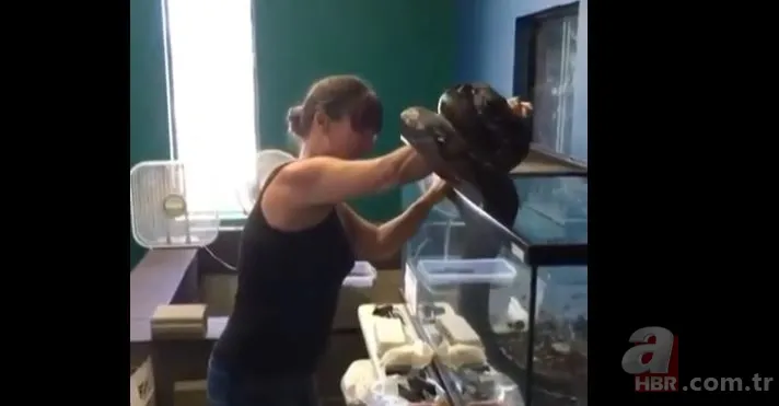 Her şey bir anda oldu! Dev piton yılanı bakıcısına böyle saldırdı 5