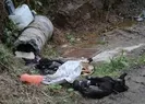 Mahalleli ayağa kalktı: Vahşi bir durum