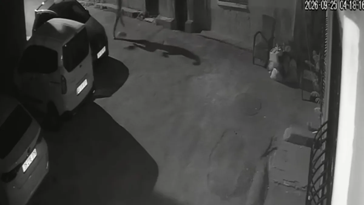 İzmir'de köpeğini tekmeleyip tasmayla sürükleyen cani gözaltına alındı