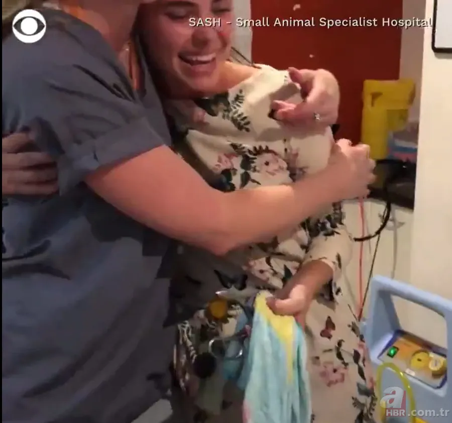 Bir yılan bunu neden yer? Pitonu ameliyat eden veterinerlerden sevinç çığlıkları 15