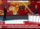 Türkiye’nin koronavirüsle mücadelesi nasıl ilerliyor? Prof. Dr. Erdoğan Çetinkaya anlattı