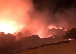 İzmir'de makilik alanda yangın! Ekipler sevk edildi