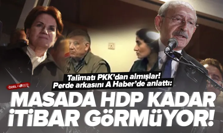 Sözde akademisyenler talimatı PKKdan almış!