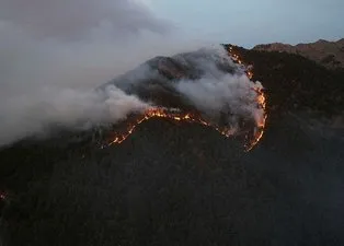 Denizli’de yangın faciası! Bölgedeki 50 ev boşaltıldı | 7 ilçede çıkan orman yangınlarından 6’sı kontrol altına alındı