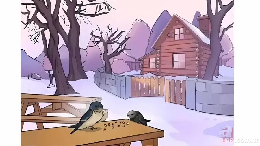 Zeka testi: Bu görseldeki gizli hata nerede? Sadece Sherlock Holmes gibi düşünenler buluyor 1