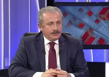 Mustafa Şentop: Üniter yapı vazgeçilmezdir