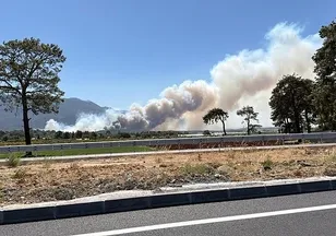 Muğla'da başlayan yangın Antalya'ya sıçradı!