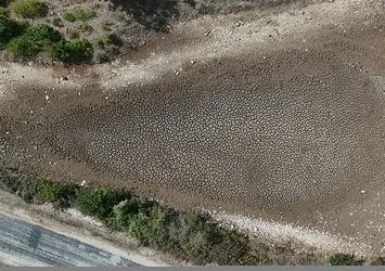 Kırklareli'nin Taşlık Göleti kuraklık nedeniyle kurudu