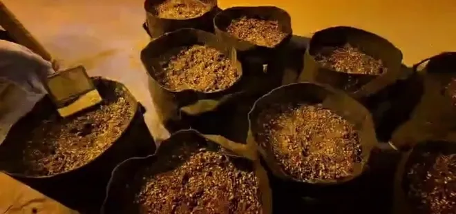 Sakarya’da uyuşturucu operasyonları: 110 gözaltı