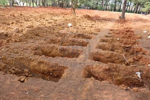 Dünya genelinde koronavirüsten ölen kişi sayısı 2,5 milyonu geçti! İşte ülke ülke güncellenen liste