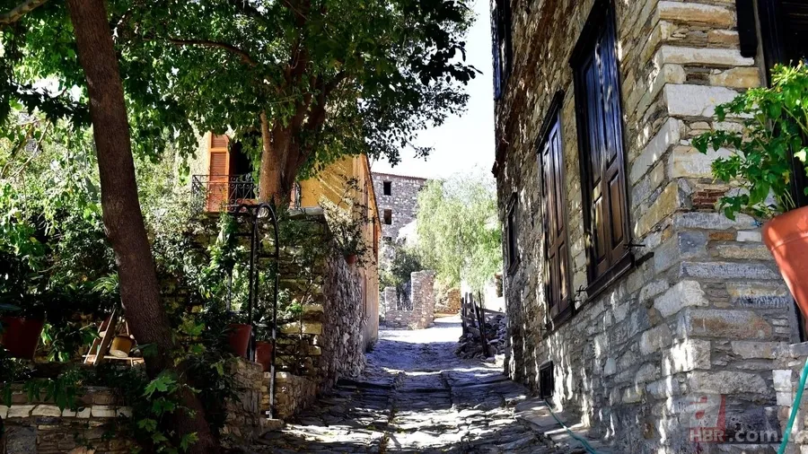 Yaz aylarının gözdesi: Yüzmek için masmavi koyları var 5