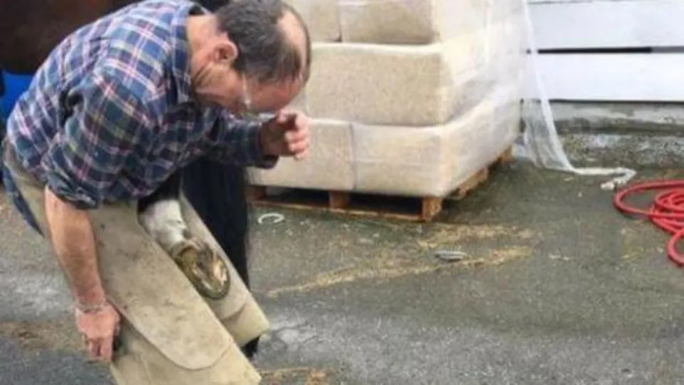 Karga, postacılara işi bıraktırdı