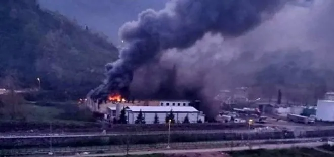 Trabzon’da balık fabrikasında yangın!