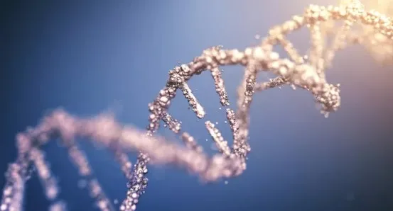 36 yaşına kadar 12 defa kanser oldu! Sebebi tıp dünyasını şaşkına çevirdi