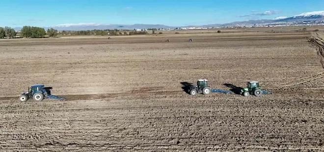 800 dönümlük araziye güzlük buğday ekildi