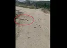 Bisikletiyle üstünden geçti! Saldırı anı...