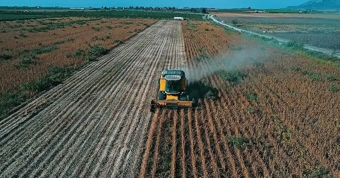 Tarımsal desteklerde çiftçiye 5 milyar lira ödenmesi bekleniyor