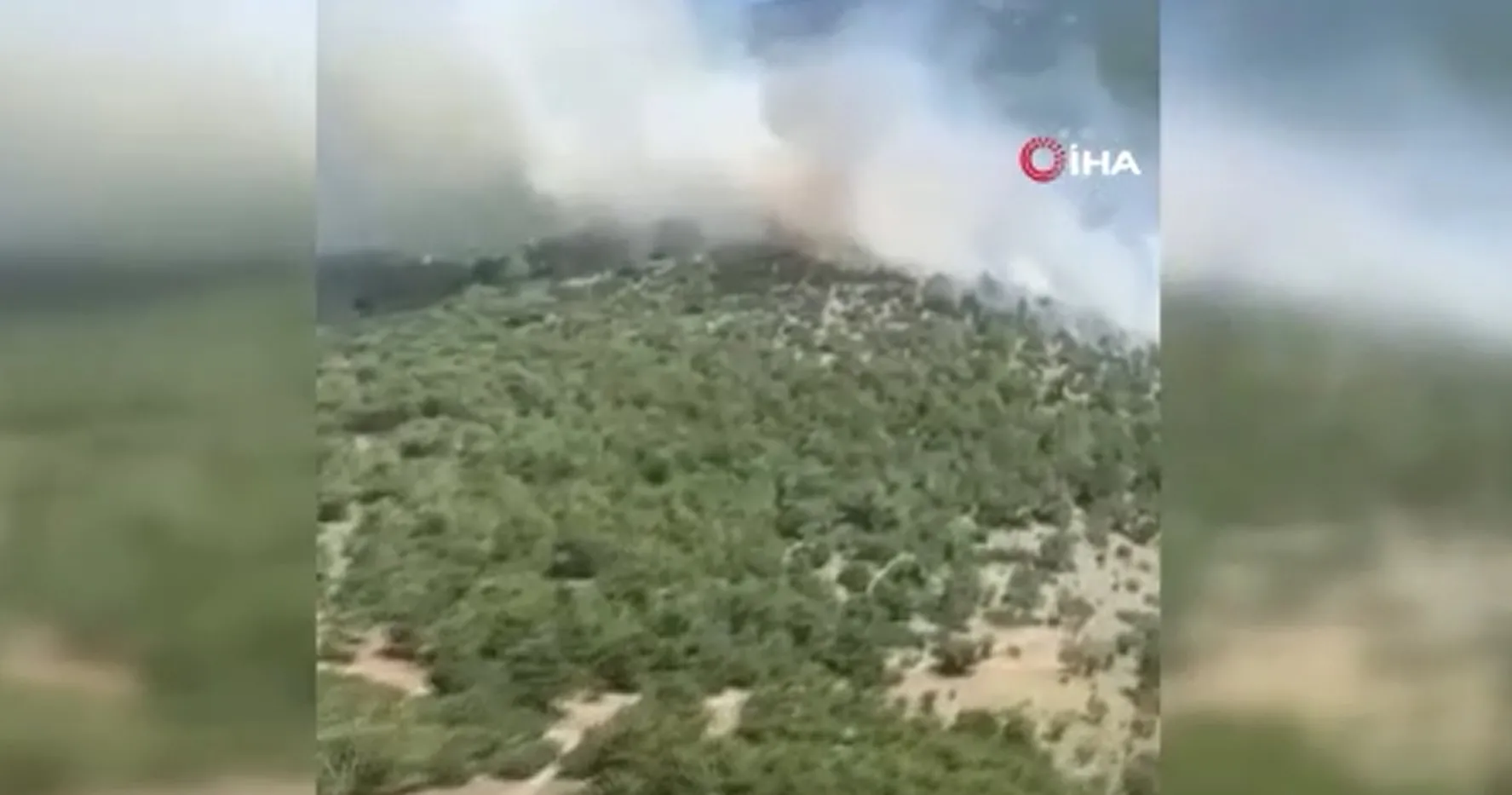 İzmir ve Manisa’da 9 orman yangını söndürüldü