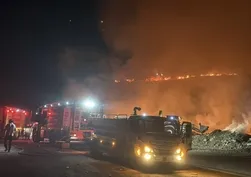 Muğla'da makilik alan alevlere teslim oldu! Yangın kontrol altına alındı