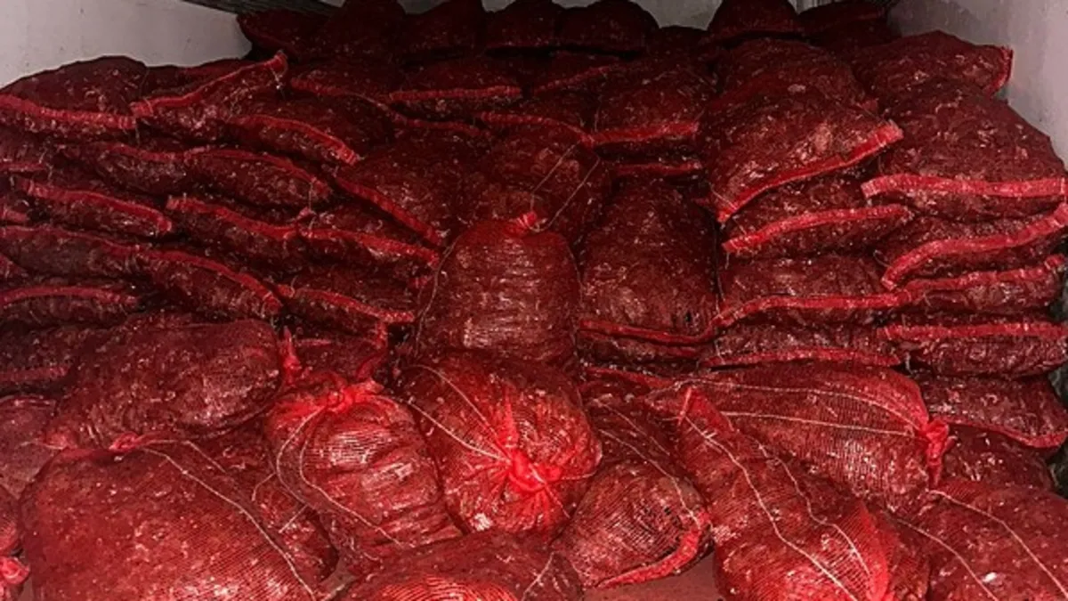 Bursa ve Balıkesir'de 10 ton kaçak midye yakalandı