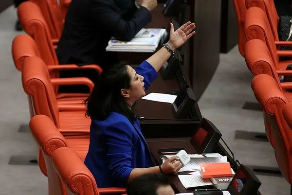 TİP’li Sera Kadıgil Gazi Meclis’te haddini aştı! TBMM’de büyük hadsizlik