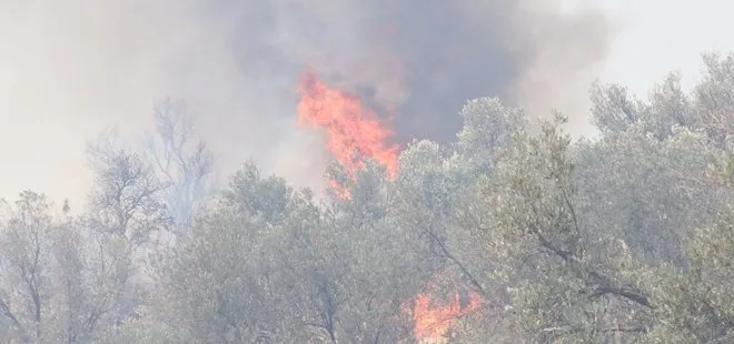 Son dakika: Antalya Kaş’ta makilik yangını