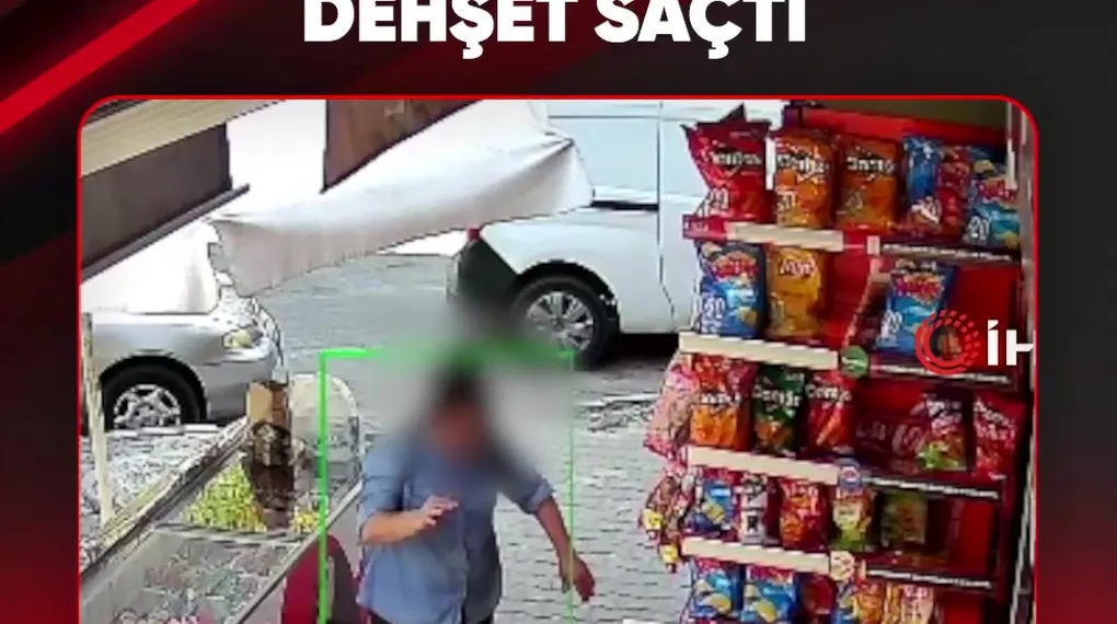PİTBULL DEHŞET SAÇTI