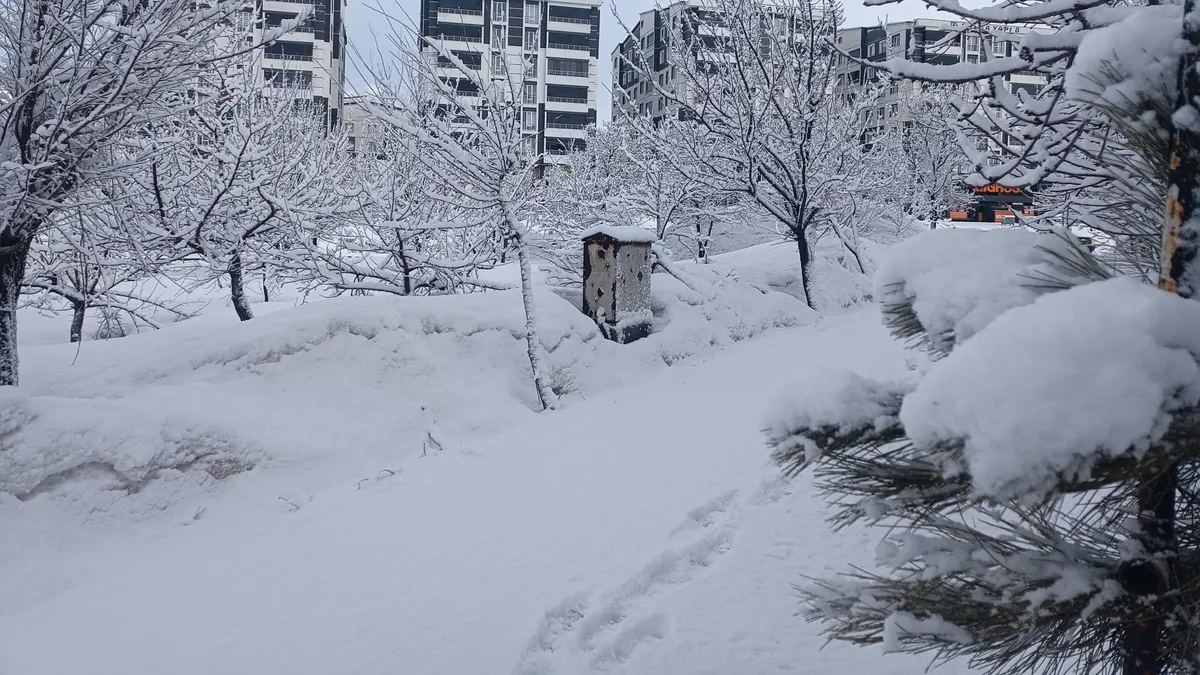 Bitlis'te kar yağışı