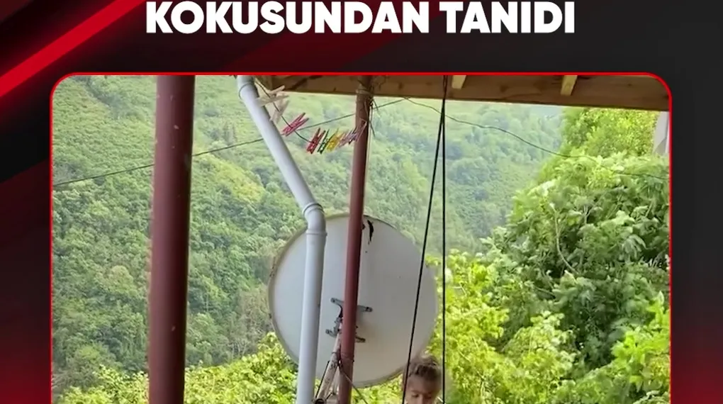 GÖRMEDİĞİ ANNESİNİ KOKUSUNDAN TANIDI