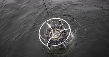 Marmara Denizi’nde oksijen alarmı: 25 metreye kadar düştü