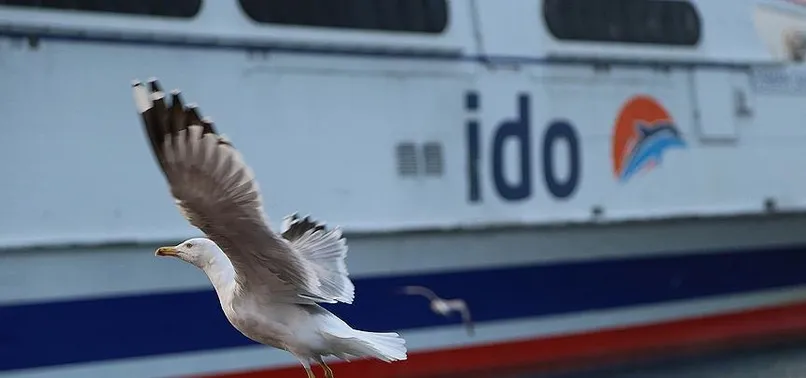 İDO ve BUDO'dan sefer iptalleri