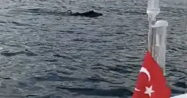 Balık tutmak için açıldı! Denizden çıkanı görünce şoke oldu