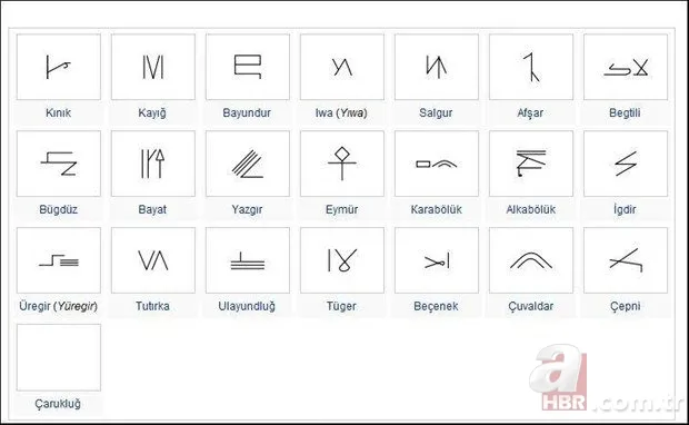 Türkiye'de hangi il hangi Türk boyundan geliyor? Şehirlerin soyağacı ortaya çıktı! 35