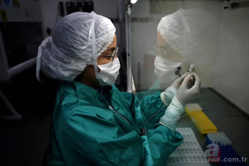 Son dakika: İsrail koronavirüsün aşısını buldu! Bomba iddia... 2